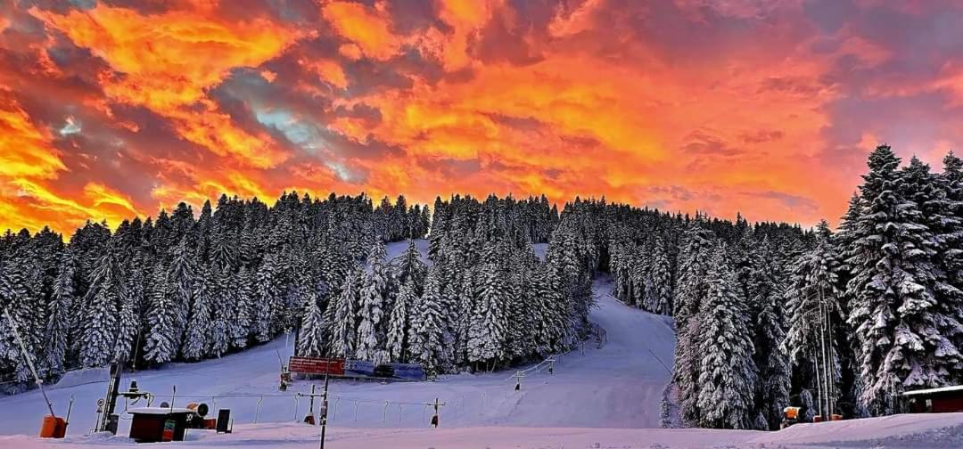 Fox Boutique Apartment Borovets Gardens Exterior foto